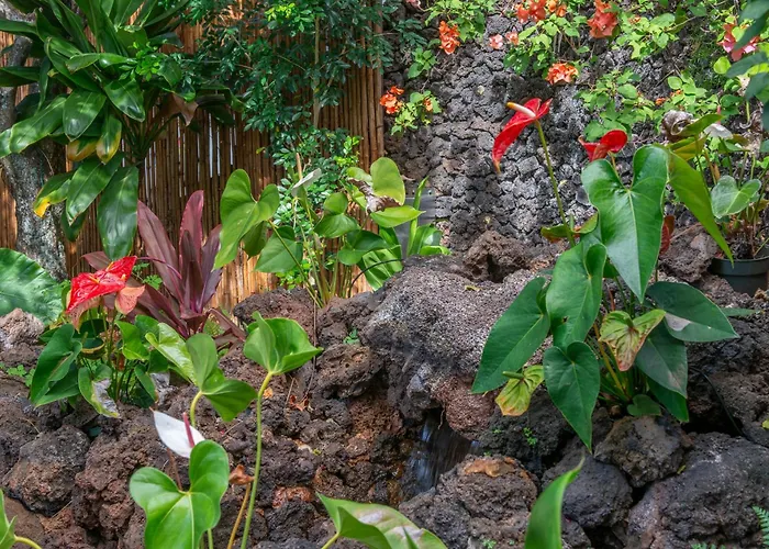 Napili Surf Beach Resort By Castle